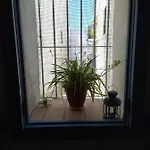 La Lectora Vejer de la Frontera