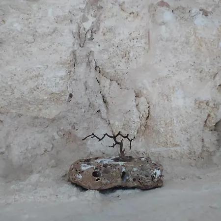 Gæstehus La Lectora