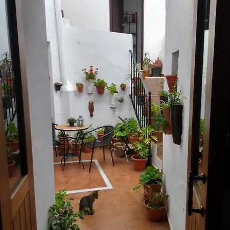 Guest house La Lectora *
